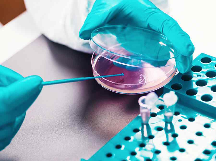 Istraživači i partneri